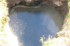2005-0012-0720-0621-LF1