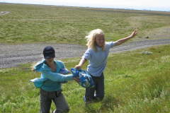 2005-0012-0722-0810-LF1