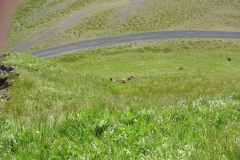 2005-0012-0722-0826-LF1