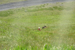 2005-0012-0722-0827-LF1