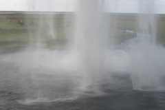 2005-0012-0723-1006-LF1