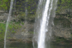 2005-0012-0723-1010-LF1