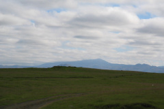 2005-0012-0724-1102-LF1