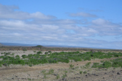 2005-0012-0724-1106-LF1