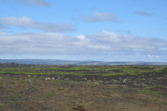 2005-0012-0724-1116-LF1