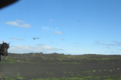 2005-0012-0724-1117-LF1