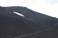 2005-0012-0724-1126-LF1
