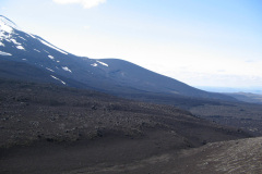 2005-0012-0724-1155-LF1