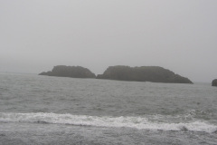 2005-0012-0725-1244-LF1
