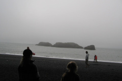 2005-0012-0725-1251-LF1