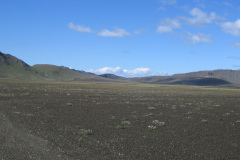 2005-0012-0725-1320-LF1