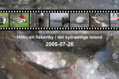 2005-0012-0726-1400-LF1