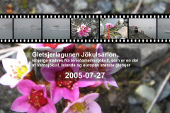 2005-0012-0727-1700-LF1