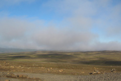 2005-0012-0728-2113-LF1