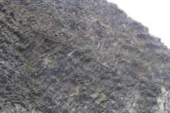 2005-0012-0729-0003-PF1