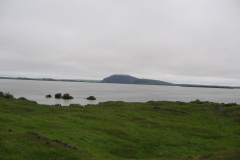 2005-0012-0729-2603-LF1
