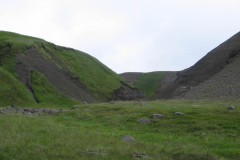 2005-0012-0729-2717-LF1