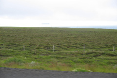 2005-0012-0729-2721-LF1