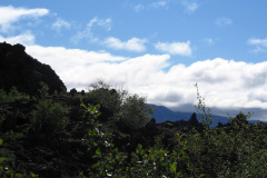 2005-0012-0731-3210-LF1