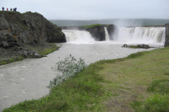 2005-0012-0731-3312-LF1