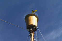 2005-0012-0801-3405-LF1