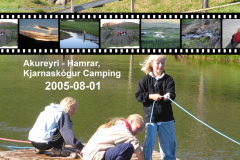 2005-0012-0801-3600-LF1