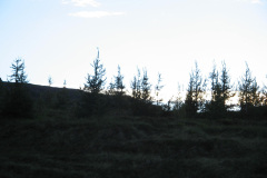 2005-0012-0801-3610-LF1