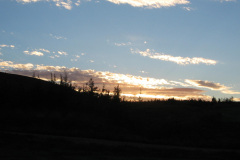2005-0012-0801-3621-LF1