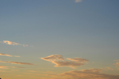 2005-0012-0801-3624-LF1
