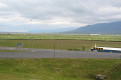 2005-0012-0802-3701-LF1