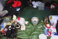 2005-0012-0802-3803-LF1