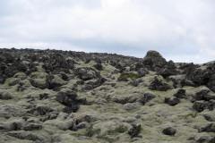 2005-0012-0803-3918-LF1