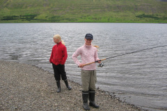 2005-0012-0803-4005-LF1