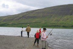 2005-0012-0803-4007-LF1