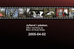 2005-0006-0402-0001-LF1