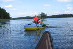 2006-0008-0610-0012-LF1