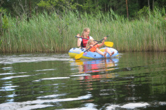 2006-0008-0610-0020-LF1