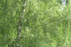 2006-0008-0610-0026-PF1