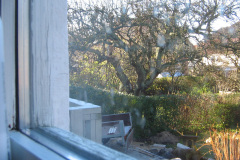 2006-0021-0000-0039-LF1