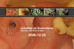 2006-0020-1224-0001-LF1