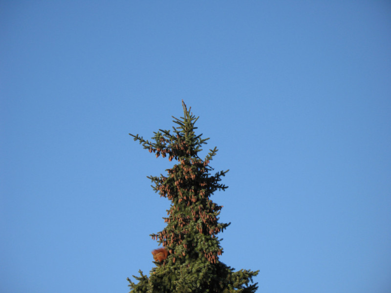 2007-0006-0203-0003-LF1