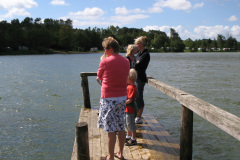 2007-0014-0803-0014-LF1