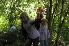 2007-0014-0803-0016-LF1