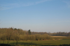 2007-0011-0408-0019-LF1