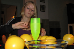 2007-0017-1231-0008-LF1