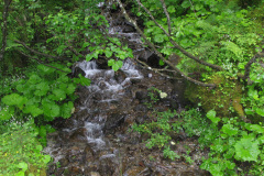 2007-0012-0704-0213-LF1