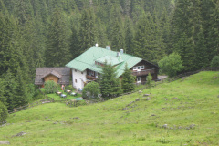 2007-0012-0704-0222-LF1