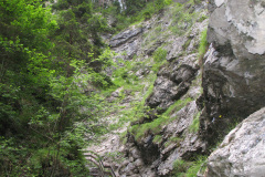 2007-0012-0707-0607-LF1