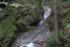 2007-0012-0707-0617-LF1