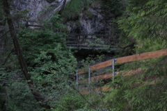 2007-0012-0707-0619-LF1